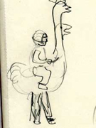 Ostrich Sketch