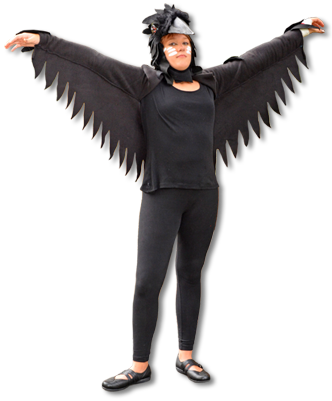 Halloween Costume 2013